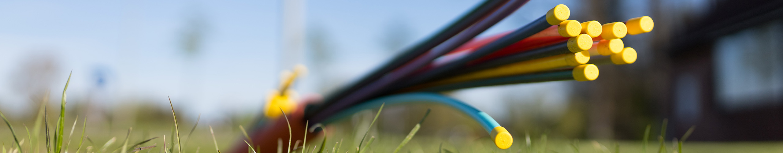 Nahaufnahme mehrerer farbiger Kabel, die auf einem grünen Grasboden liegen