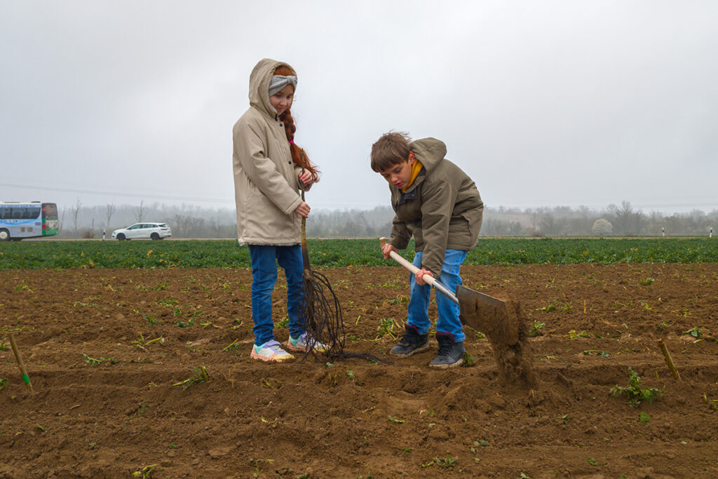 Kinder helfen bei der Anpflanzung Ein Mädchen und ein Junge pflanzen einen Baum