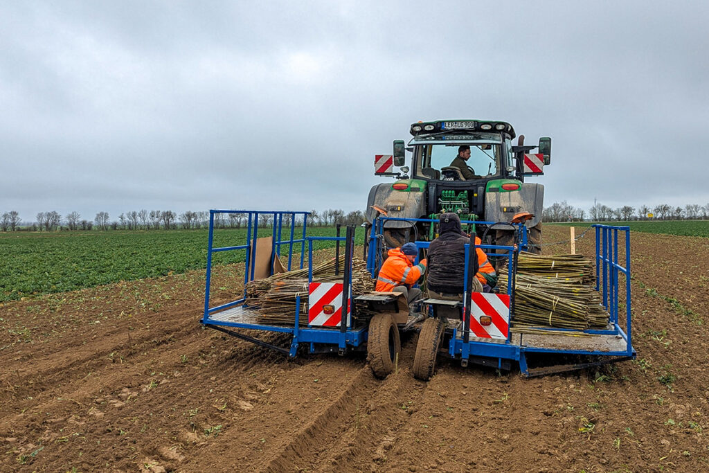 Rutenpflanzmaschine Rutenpflanzmaschine