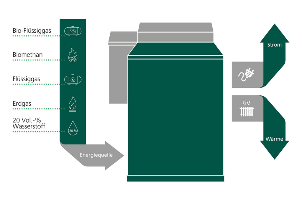 MEDIA_250414_Dachs_Uebersicht_Brennstoffe