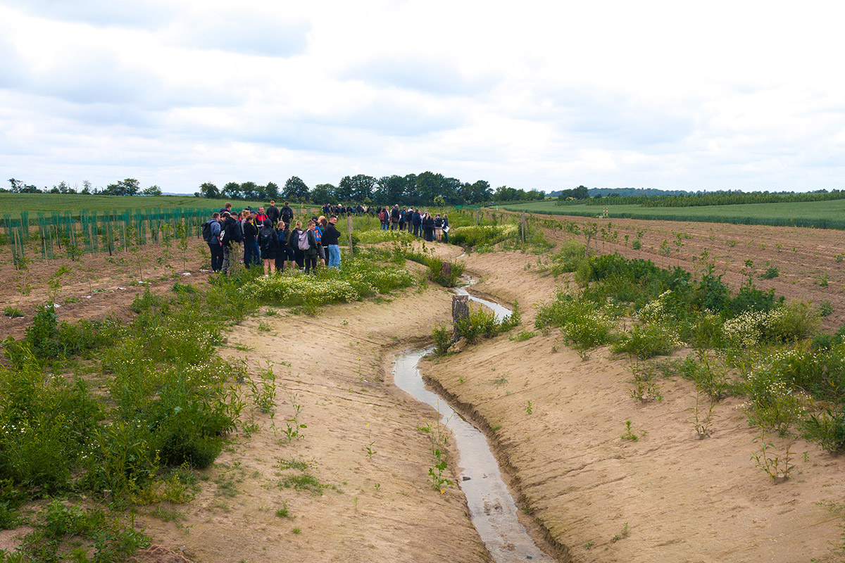 Fachgruppen beim Feldtag am Tauchnitzgraben mit dem angrenzenden Agroforst
